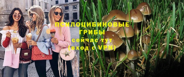 стафф Пересвет