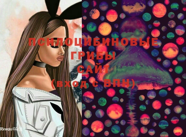 стафф Пересвет