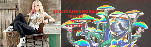 спайс Пестово