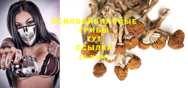 стафф Пересвет