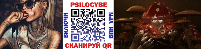 Галлюциногенные грибы MAGIC MUSHROOMS  Купить где  Серпухов 